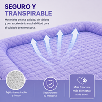 CoolSummer: Colchón refrescante para mascotas