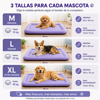CoolSummer: Colchón refrescante para mascotas